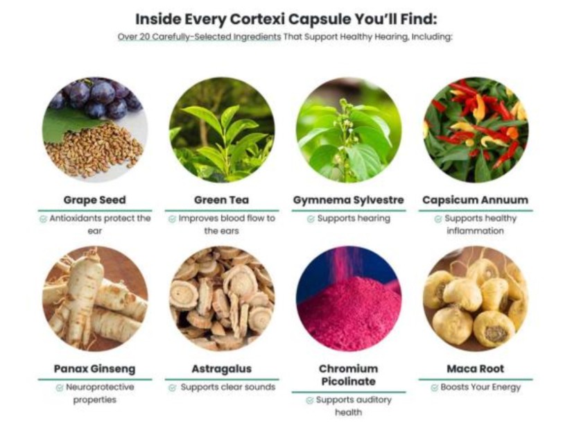 cortexi ingredients