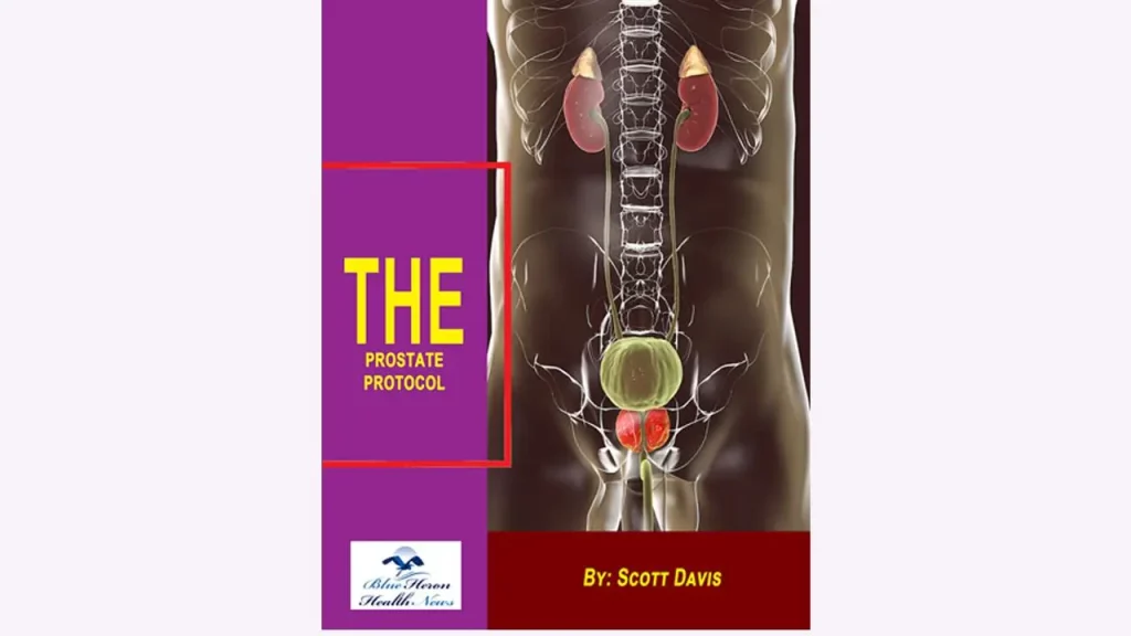 the-prostate-protocol